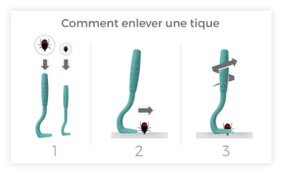 Comment enlever une tique ?